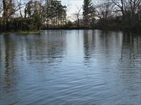 フィッシングフラワーパーク