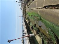 震災メモリアルパーク