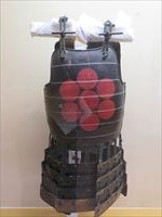 門野幾野進記念館